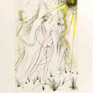 Buy engravings by Salvador Dali