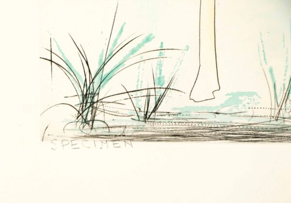 Buy engravings by Salvador Dali